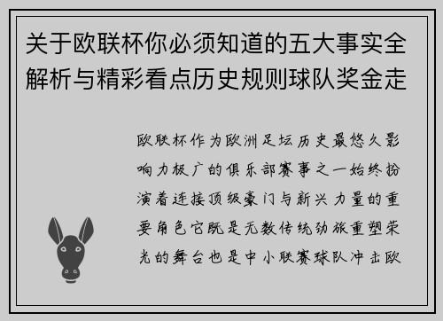 关于欧联杯你必须知道的五大事实全解析与精彩看点历史规则球队奖金走势